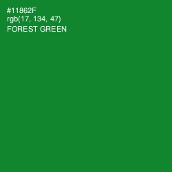 #11862F - Forest Green Color Image